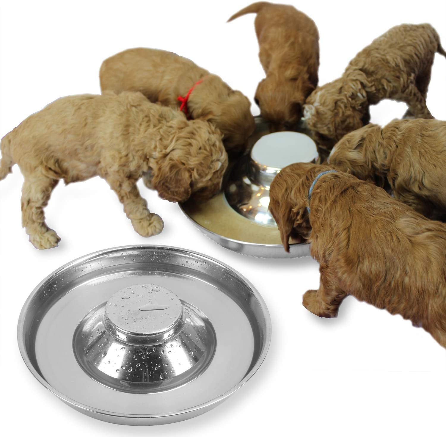 Stainless Steel Puppy Feeding Bowls - Set of 2, 11.8 Inch Dishes for Food and Water
