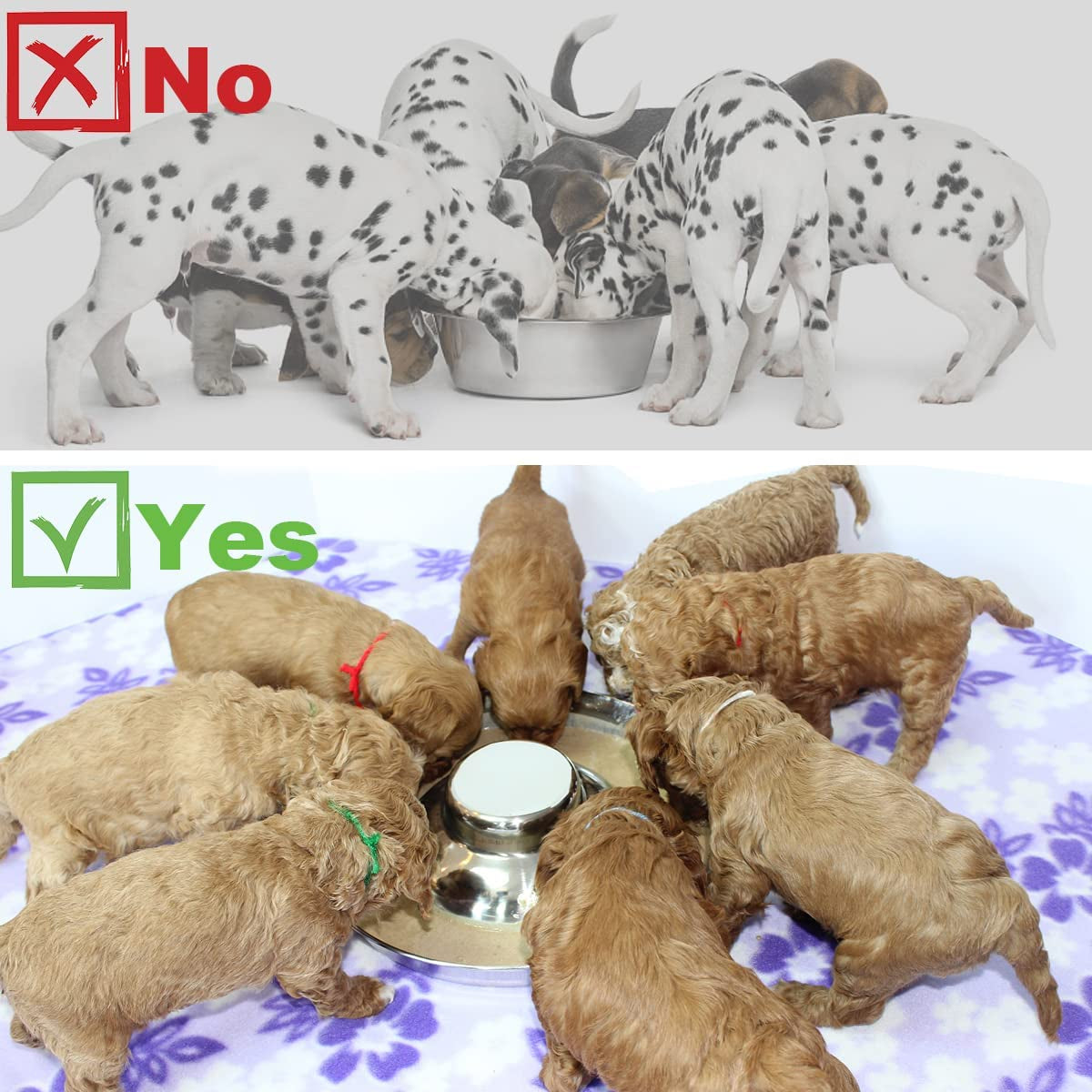 Stainless Steel Puppy Feeding Bowls - Set of 2, 11.8 Inch Dishes for Food and Water