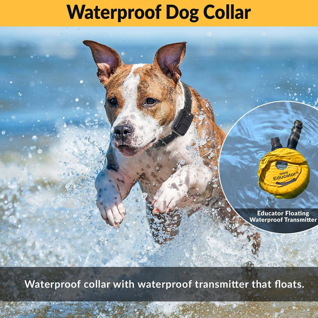 E-Collar ET-300 Mini Remote Dog Training Collar - Yellow | 1/2 Mile Waterproof Range, 100 Stimulation Levels with Vibration, Light, and Sound, Includes Premium Finger Clicker Trainer