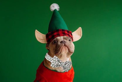 Holiday Adjustable Dog Collar with Soft Bowtie - Comfortable Pet Accessory for Small, Medium, and Large Dogs